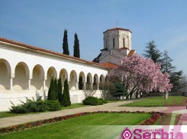 Stari kraljevski dvor Karađorđević