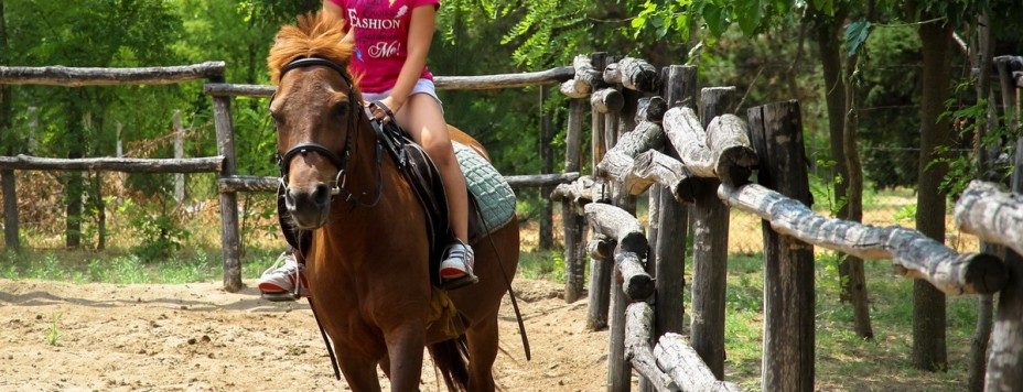 Letnji kamp Rizničar